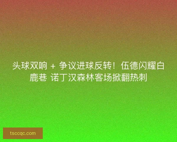 头球双响 + 争议进球反转！伍德闪耀白鹿巷 诺丁汉森林客场掀翻热刺