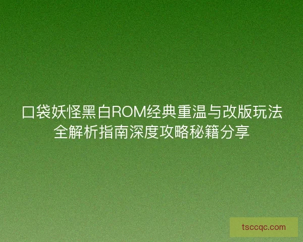 口袋妖怪黑白ROM经典重温与改版玩法全解析指南深度攻略秘籍分享