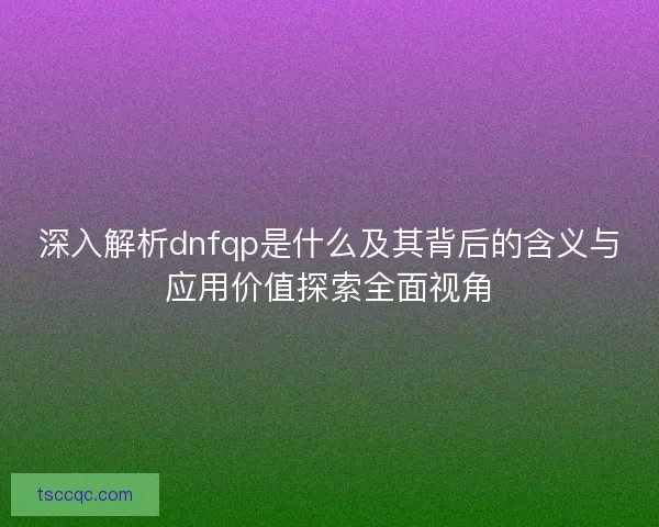 深入解析dnfqp是什么及其背后的含义与应用价值探索全面视角