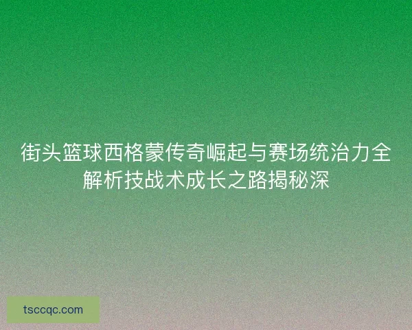 街头篮球西格蒙传奇崛起与赛场统治力全解析技战术成长之路揭秘深