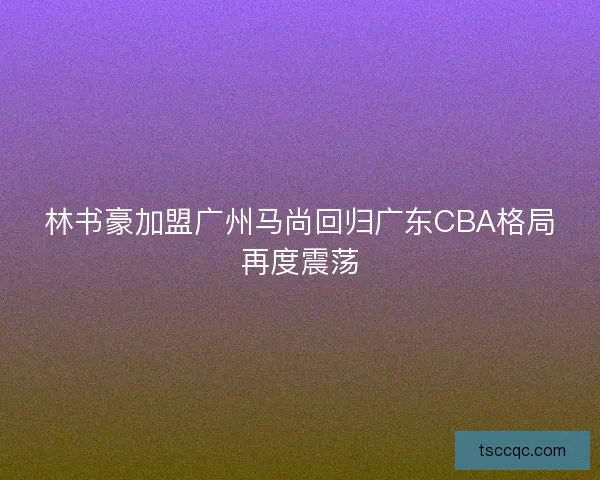 林书豪加盟广州马尚回归广东CBA格局再度震荡