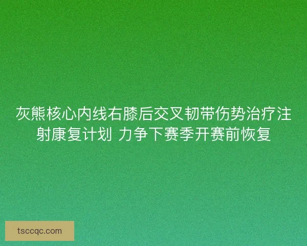 灰熊核心内线右膝后交叉韧带伤势治疗注射康复计划 力争下赛季开赛前恢复 灰熊核心内线右膝后交叉韧带伤势治疗注射康复计划 力争下赛季开赛前恢复