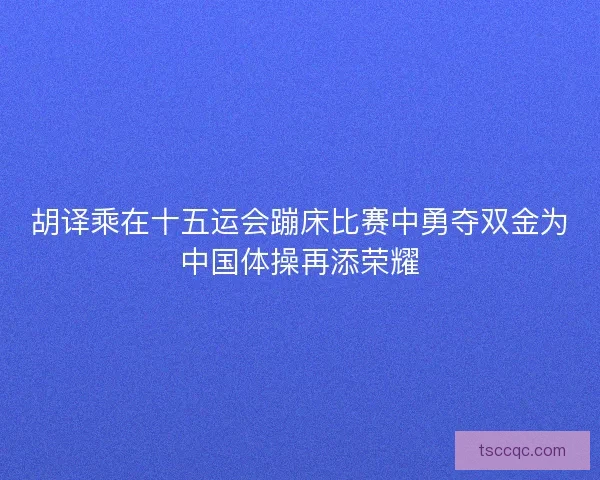 胡译乘在十五运会蹦床比赛中勇夺双金为中国体操再添荣耀