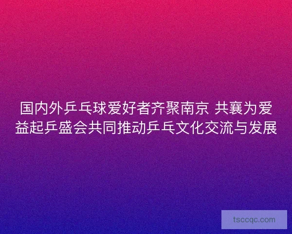 国内外乒乓球爱好者齐聚南京 共襄为爱益起乒盛会共同推动乒乓文化交流与发展